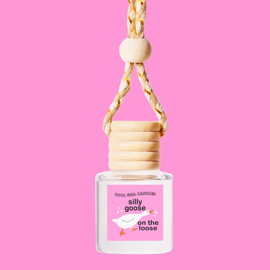 fun and silly gift hanging car freshener that says silly goose on the loose