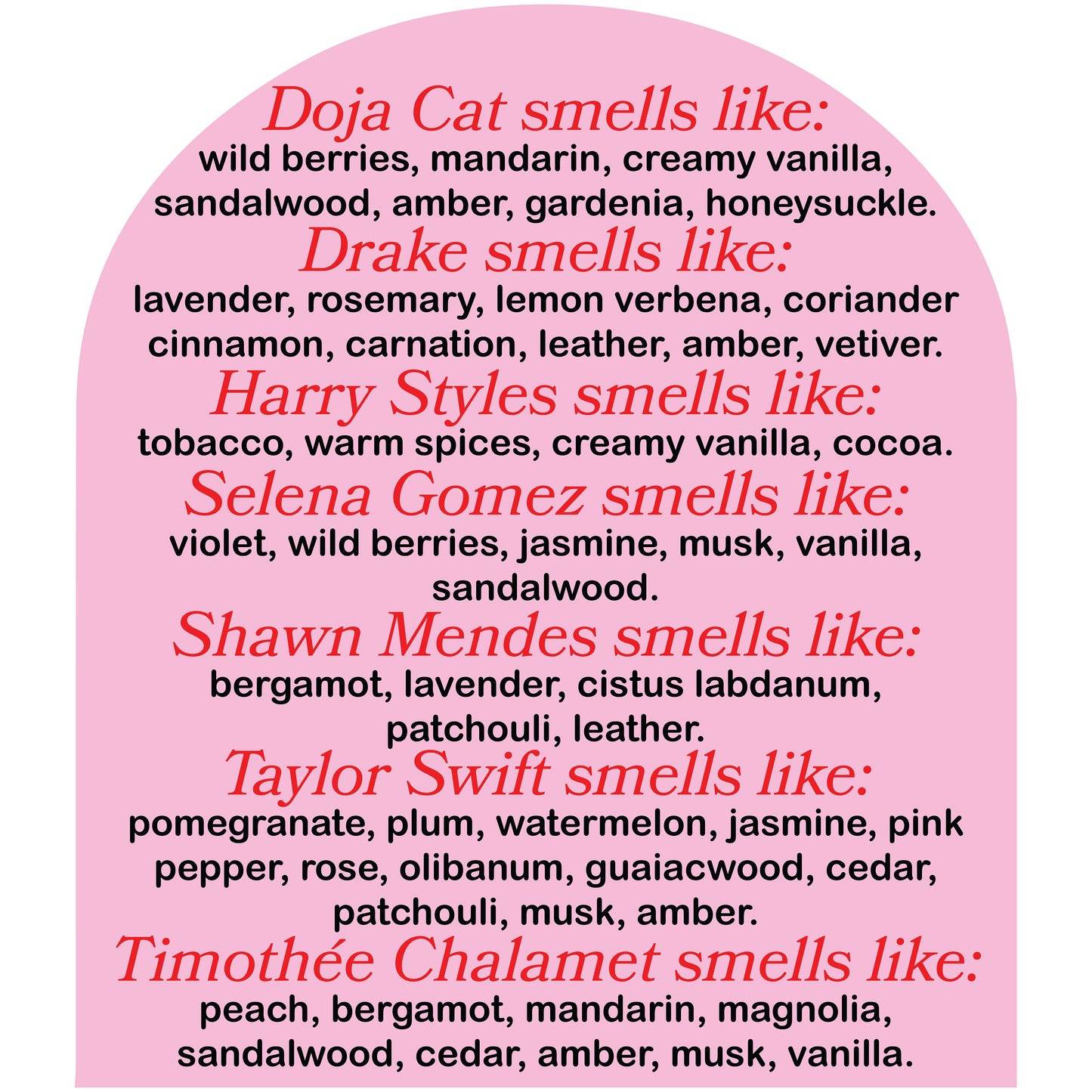 This Smells Like Timothee Chalamet Wax Melt