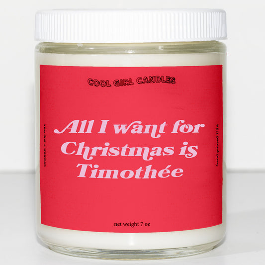 all i want for christmas is timothee chalamet candle this smells like timothee chalamet cute aesthetic candle christmas decor candle