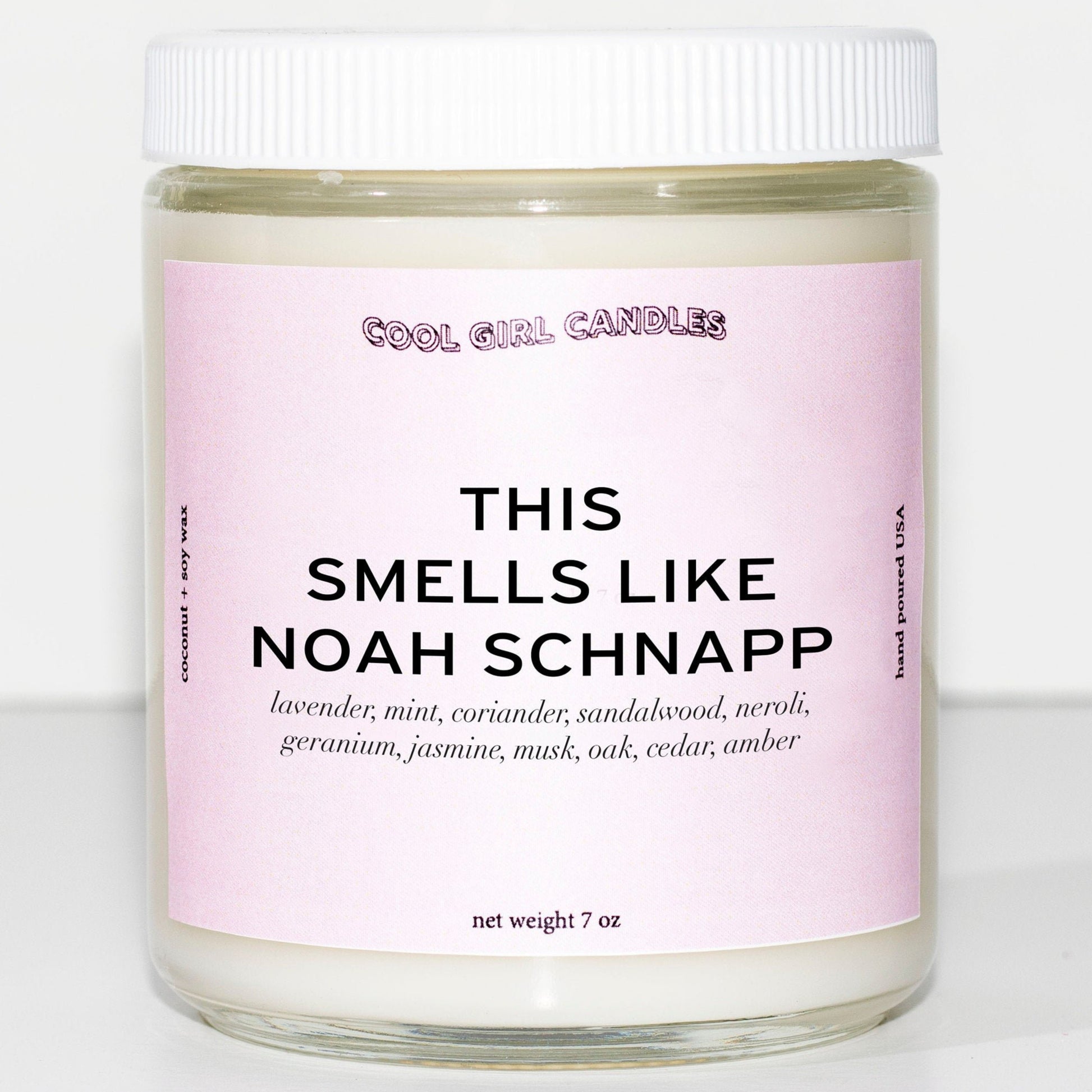 cool girl candles this smells like noah schnapp candle stranger things candle cute aesthetic noah schnapp merch stranger things merch hilarious candle dealers
