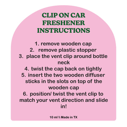 Hot Girls Hit Curbs Car Freshener