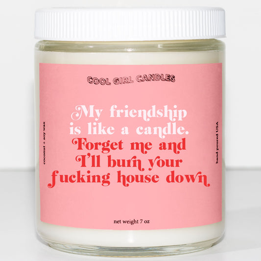 my friendship is like a candle, forget me and i'll burn your fucking house down candle cute jar candle for your best friends