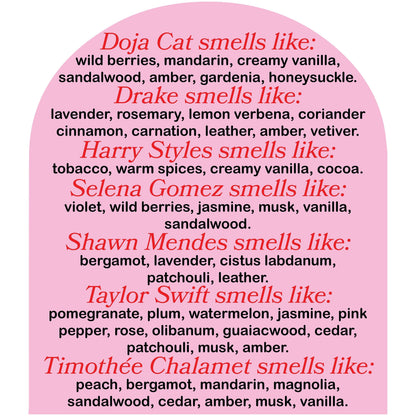 This Smells Like Gustav Schafer Candle