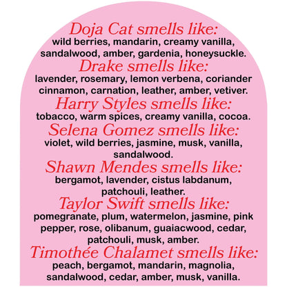 pop culture candles that smell like drake, harry styles, timothee chalamet, chris evans, sebastian stan, pedro pascal, taylor swift, doja cat, dylan o brien, evan peters, and more celebrities. Celebrity scented candles by cool girl candles
