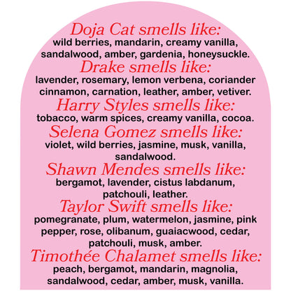 This Smells Like Charles Leclerc Candle