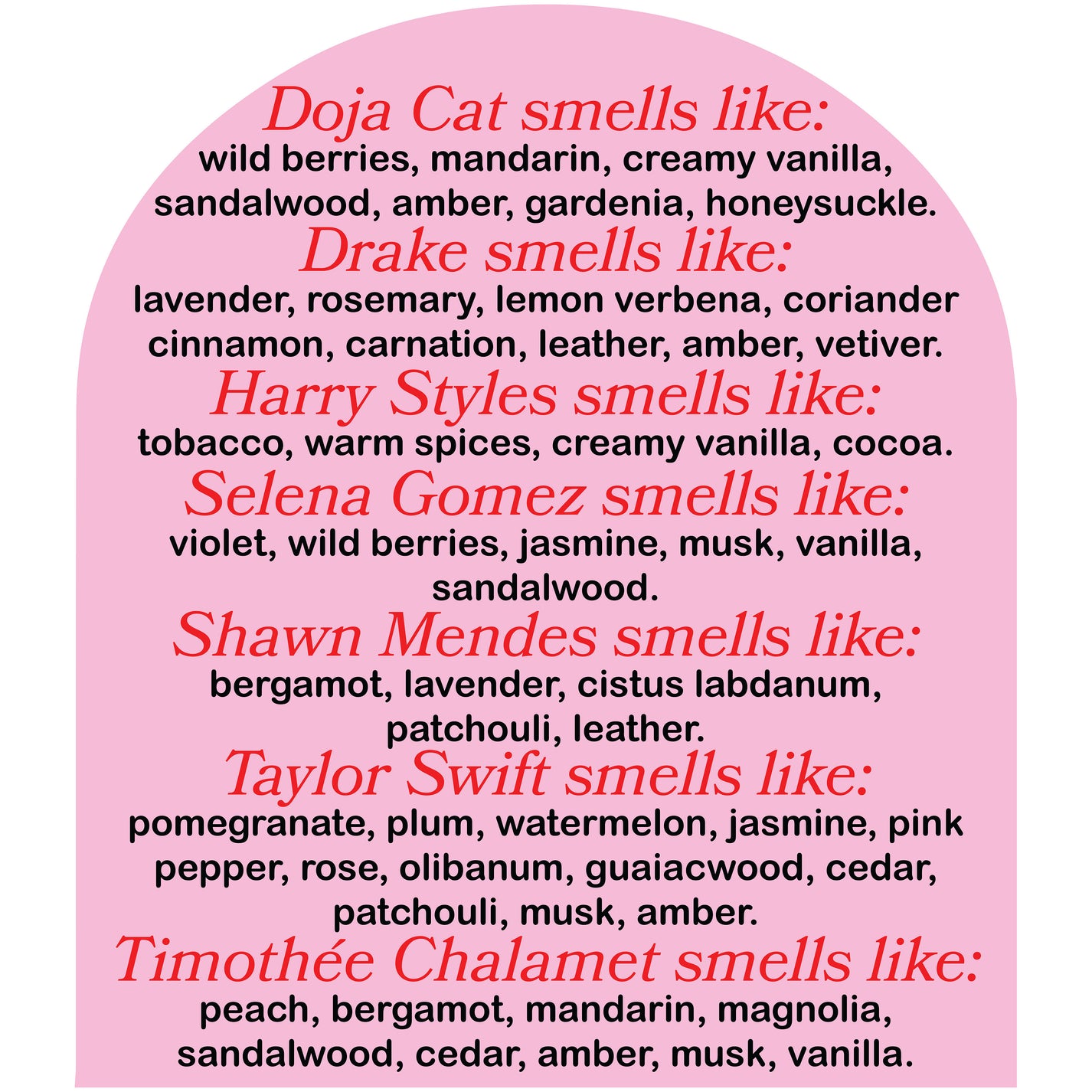 This Smells Like Timothee Chalamet Candle Cool Girl Candles