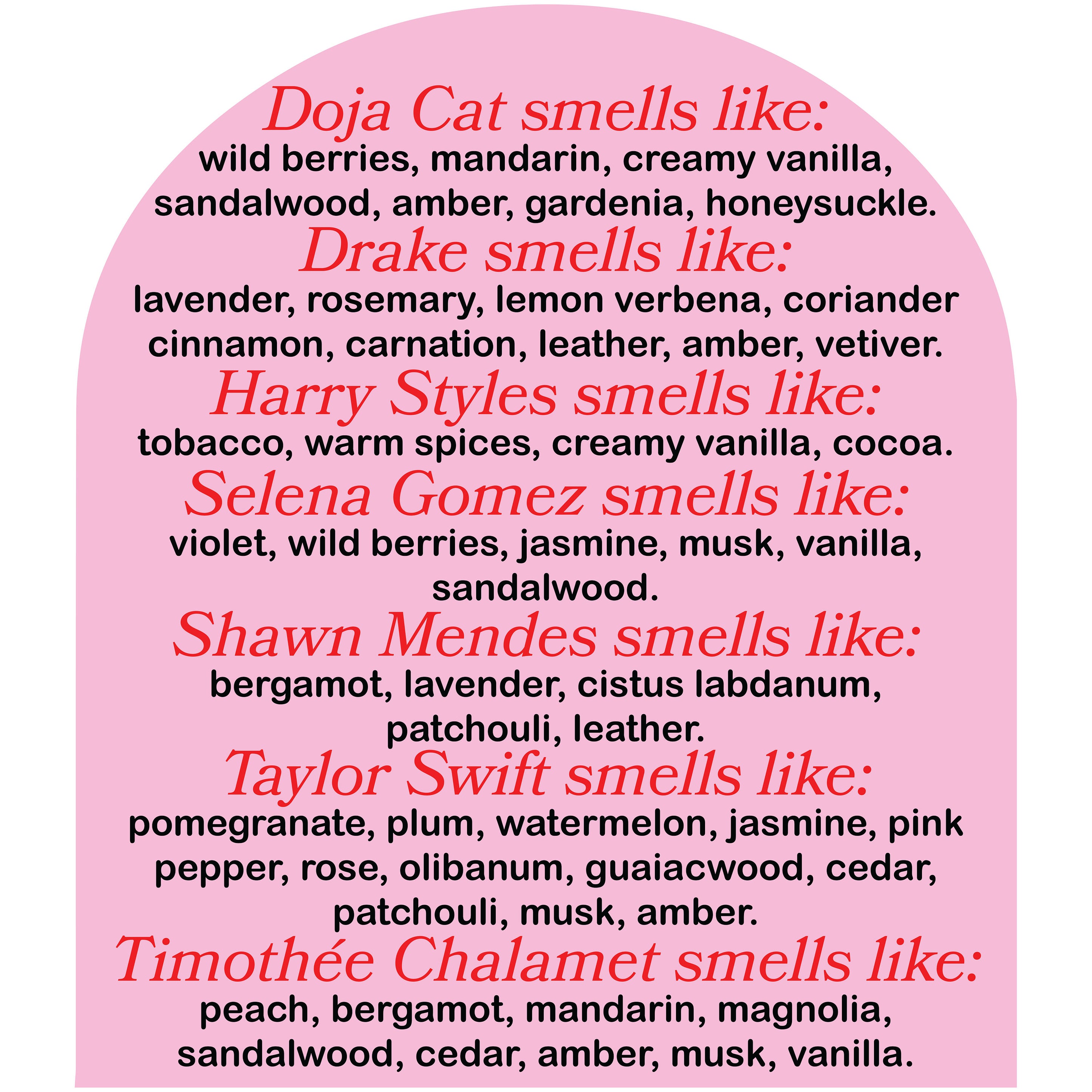 This Smells Like Timothee Chalamet Candle Cool Girl Candles