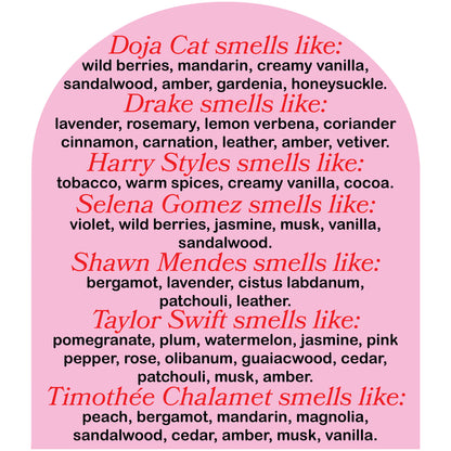 This Smells Like Timothee Chalamet Candle