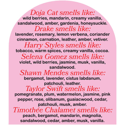 This Smells Like Ross Lynch Candle