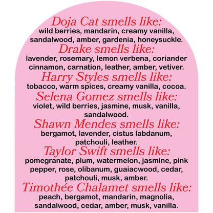 pop culture candles that smell like drake, harry styles, timothee chalamet, chris evans, sebastian stan, pedro pascal, taylor swift, doja cat, dylan o brien, evan peters, and more celebrities. Celebrity scented candles by cool girl candles