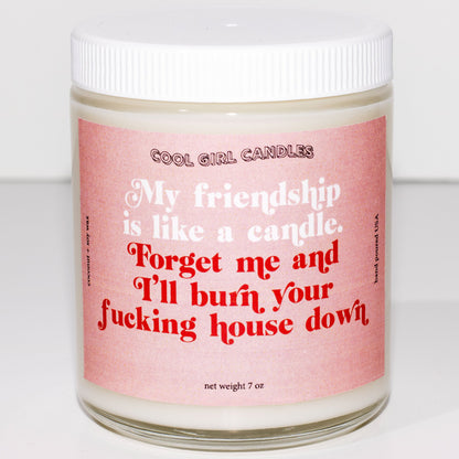 my friendship is like a candle, forget me and i'll burn your fucking house down candle cute conainer candle