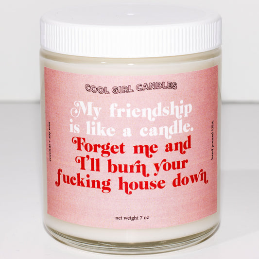 my friendship is like a candle, forget me and i'll burn your fucking house down candle cute conainer candle
