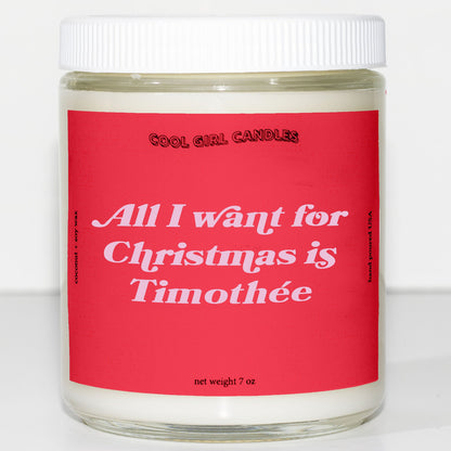 all i want for christmas is timothee chalamet candle this smells like timothee chalamet cute aesthetic candle christmas decor candle