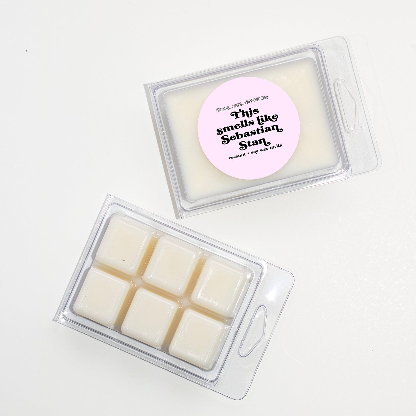 This Smells Like Sebastian Stan Wax Melt